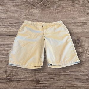 Under Armour Men’s Performance Striped Shorts Size 34R